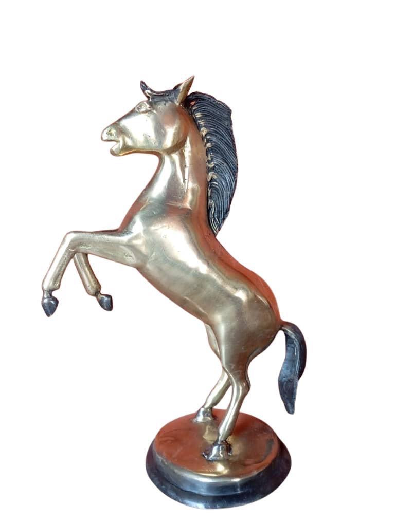 KANO - The Spirited Stallion